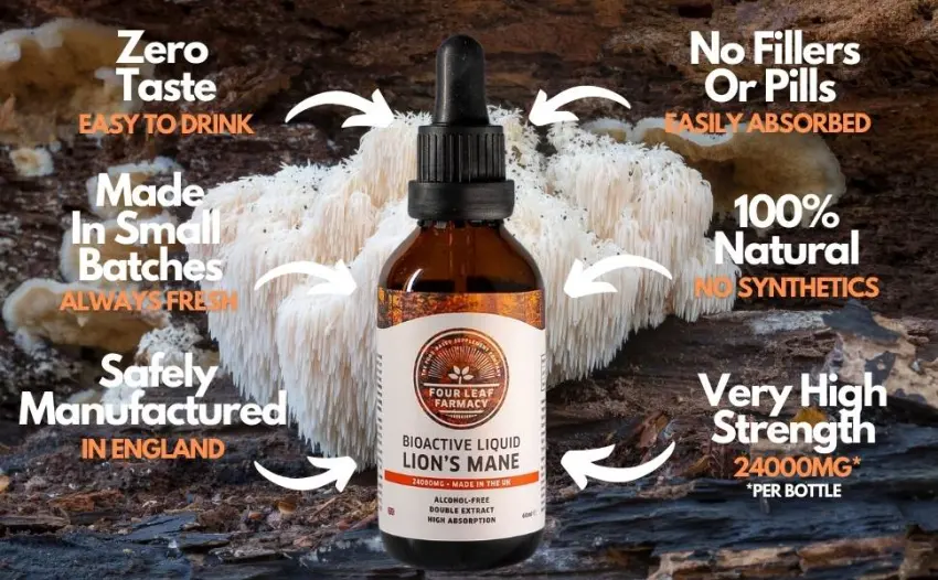 Lions Mane Supplement - High Strength Liquid Lions Mane 24000mg - Made in UK - Pure Alcohol Free - product information 2