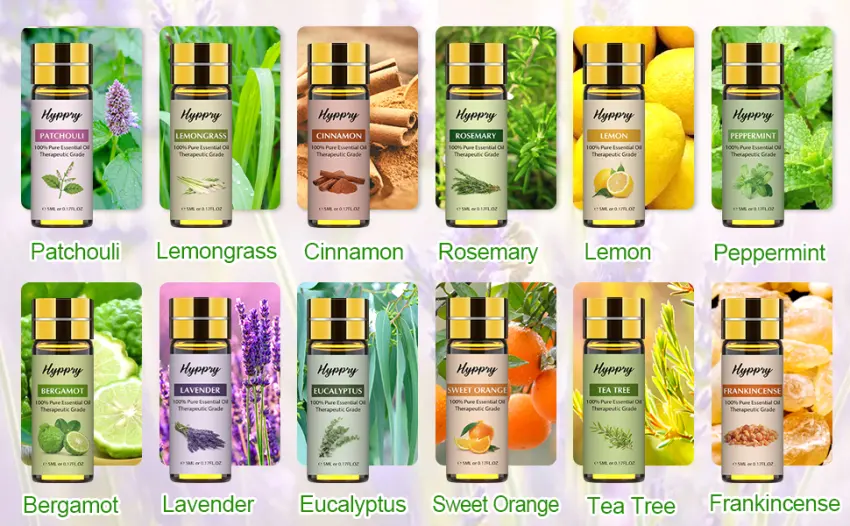 Hyppry Natural Essential Oils for Diffuser for Home 12 x 5ml - Tea Tree Lavender Peppermint Sweet Orange Bergamot Lemongrass Eucalyptus Rosemary Frankincense Lemon Patchouli Cinnamon - product information 3
