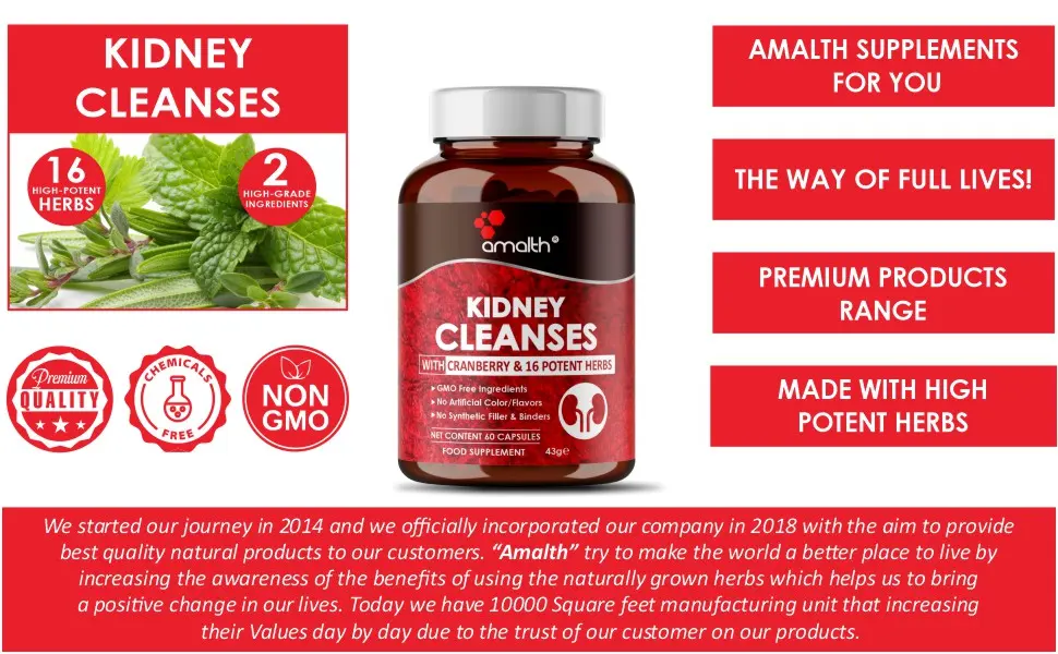 Kidney Cleanse Supplements Kidney Support Formula with Premium Cranberry Extract- Healthy Kidneys and Urinary Tract Support- Juniper Uva Ursi Nettle Leaf & More 60 Veg Caps- Amalth - capsule for kidney
