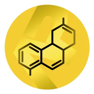 Delicious Creatine Gummies - 3 300mg+ Creatine Monohydrate per Serving - Lemon Flavour - Creatine Gummies for Men and Women (90 Gummies) - creatine
