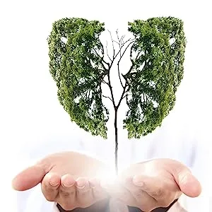 Clearbreath Dendrobium & Mullein Extract - Powerful Lung Support & Cleanse & Respiratory Herbal Lung Health Essence Dendrobium Mullein Extract Herbal 2PC - Clearbreath Dendrobium & Mullein Extract - Powerful Lung Support & Cleanse