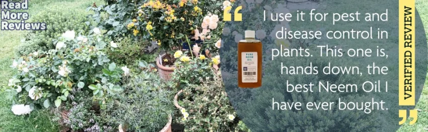 100ml Neem Oil - Premium 100% Pure Multi-Use Oil for Garden - Plants - Home & More - Neem Garden