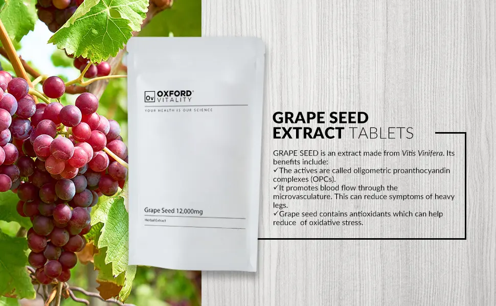 Grape Seed Extract Tablets | High Strength 12 000mg Supplement with OPC | Oxford Vitality 500 count (Pack of 1) - grape seed