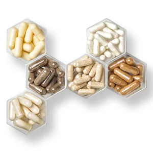 Fair & Pure - Chitosan Supplement - 500mg - 180 Tablets - product information 3