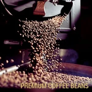 Variety Pack: 100 Nespresso Compatible Pods. 9 Different Varieties with Coffee Capsules. All Varieties 100 Count (Pack of 1) - Premium coffee beans from real coffee