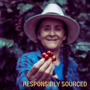 Sumatra Single Origin Organic Coffee | 100 Nespresso Compatible Pods | Dark Roast | Organic Espresso Sumatra 100 Count (Pack of 1) - Fairtrade coffee from Real Coffee