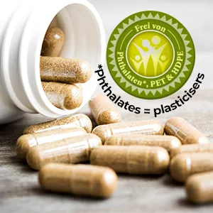 TopEnzym Plus Enzyme Complex in DRCaps for Delayed Release 50 Capsules | Warnke Vitalstoffe - warnke
