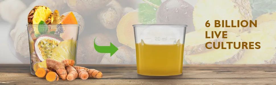 Turmeric Curcumin with BioCultures & Enzymes - Fermented High Strength Liquid Turmeric Supplement with Black Pepper & Ginger Equivalent to 2 Turmeric Capsules - Pineapple Passionfruit - Probiotic supplement