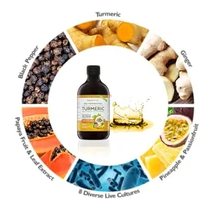 Turmeric Curcumin with BioCultures & Enzymes - Fermented High Strength Liquid Turmeric Supplement with Black Pepper & Ginger Equivalent to 2 Turmeric Capsules - Pineapple Passionfruit - Probiotic turmeric