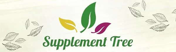 Organic Turmeric Curcumin with Organic Ginger & Black Pepper 120 Capsules | Highest Potency Tumeric Supplement | Soil Association Certified - Brand Logo