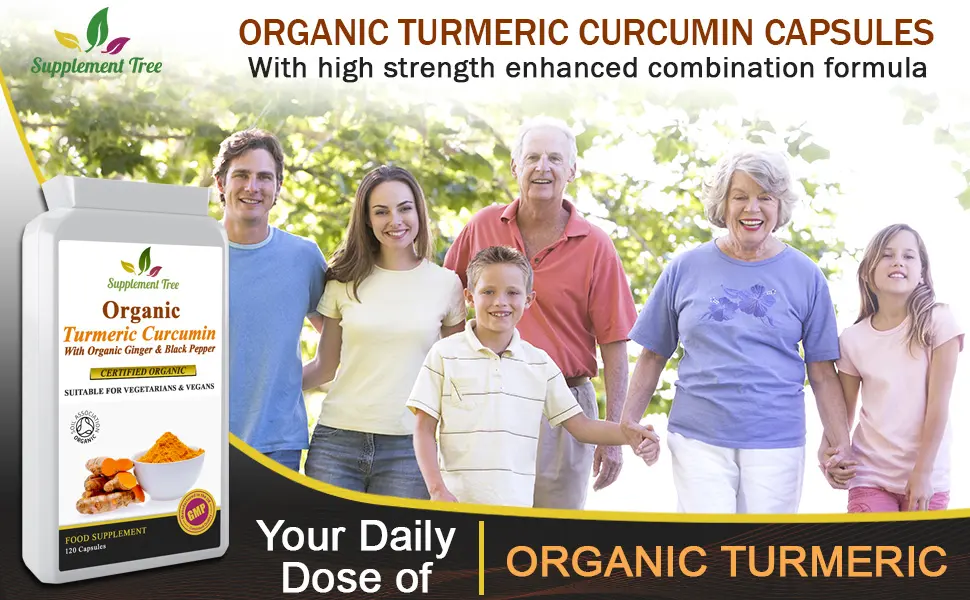 Organic Turmeric Curcumin with Organic Ginger & Black Pepper 120 Capsules | Highest Potency Tumeric Supplement | Soil Association Certified - Desciption 1