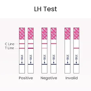 Femometer Ovulation Test Strips 50 LH Testing Sticks Sensitive Fertility Predictor Kit Record Accurate Results with Femometer App Lh50 - product information 6