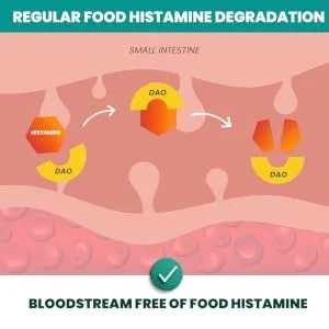 NATURDAO - 1.000.000 HDU - Vegetable DAO - DAO Deficiency - Histamine Intolerance - Diamine Oxidase - regular dao
