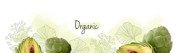 Organic Reishi Extract Vegavero | 8400mg (14:1) Ganoderma Lucidum | with Polysaccharides & Beta Glucans | Mushroom Extract Powder | 90 Capsules | Vegan - vegavero