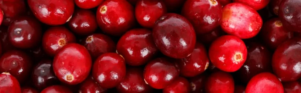 VYTALIVING Biovit Cranberry Tablets - Urinary Tract Infection Treatment - Cranberry Supplement - High Strength - Immunity Booster | 60 Tablets - Cranberry Tablets