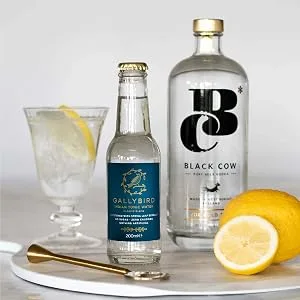 Gallybird Stevia Drops 50ml - Calorie Free Sugar Alternative - Gin Bottle