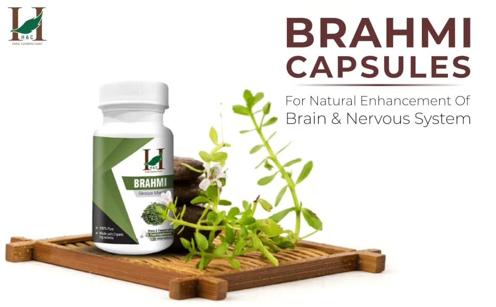 H&C Brahmi (Bacopa monnieri) Capsules - 900mg per Serving 120 Capsules | for Rejuvenative for The Brain & Nervous System 120 Count (Pack of 1) - SPN-FOR1