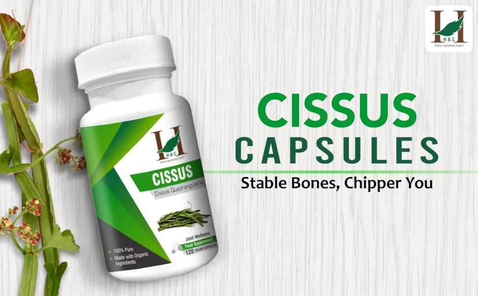 H&C Cissus Capsules (Cissus quadrangularis) - 900mg per Serving 120 Vegan Capsules (2 Months Supply) | Herbal Supplement for Bone Health 450mg Capsules - SPN-FOR1