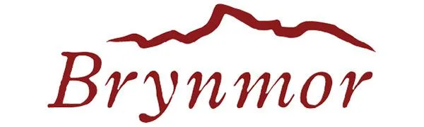 Brynmor Cranberry Flapjack 20 x 80g Individually Wrapped Bars A Perfect Treat For Snack Time Cranberry 20 Count (Pack of 1) - Brynmor Flapjack