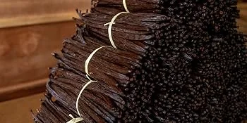 Kiddu - 100ml Pure Vanilla Extract for Home Baking Made from Premium Vanilla Pods - Stack of bundled vanilla beans