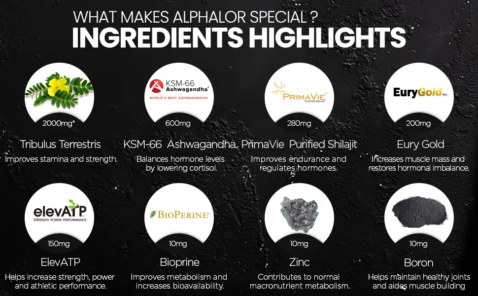 Nutrinly Alphalor Performance Support | Powerhouse Formula | High Strength Tribulus Terrestris Extract Ashwagandha KSM-66 PrimaVie Shilajit EuryGold elevATP & More 30 Servings - Made in The U.K - immune support immune system elevATP Primavie Shilajit Boron Tribulus Terrestris