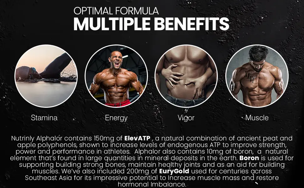 Nutrinly Alphalor Performance Support | Powerhouse Formula | High Strength Tribulus Terrestris Extract Ashwagandha KSM-66 PrimaVie Shilajit EuryGold elevATP & More 30 Servings - Made in The U.K - tribulus testosterone shilajit booster support ashwagandha tribulus terrestri testosterone