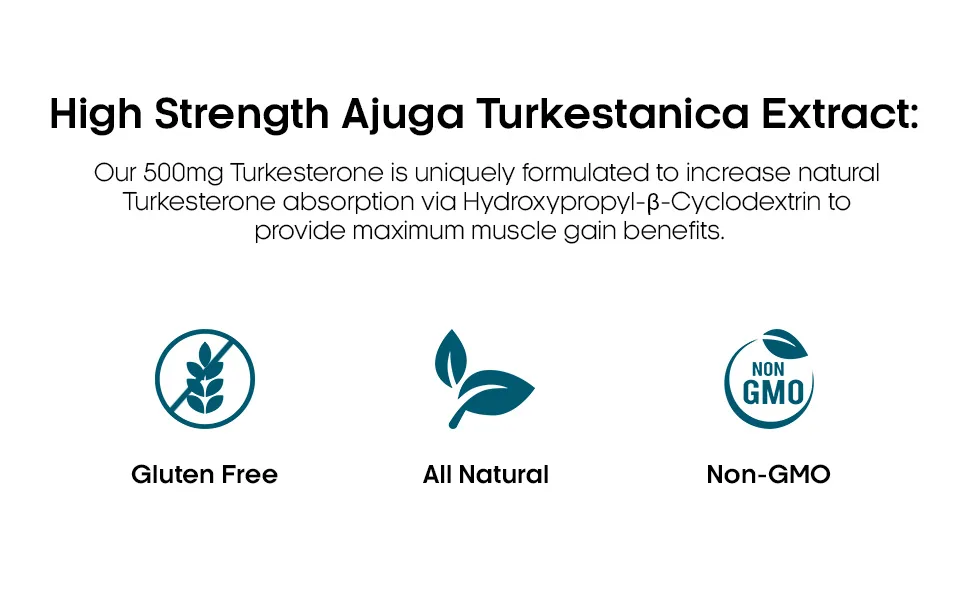 Turkesterone | High Strength 500mg | Anabolic Testosterone Supplement with Hydroxypropyl- -Cyclodextrin | Ajuga Turkestanica Extract | | Promotes Strength & Muscle Growth - 60 Capsules - Turkesterone Supplement