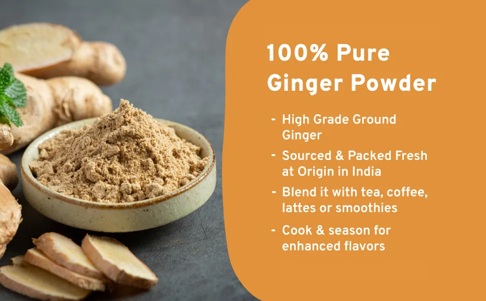 SPICE TRAIN Ginger Powder (200g/7oz) 100% Raw Ground Ginger Root Powder from India in Resealable Zip Lock Pouch | Active Gingerol Perfect for Cooking Baking Gingerbread Smoothies & Tea - Ginger