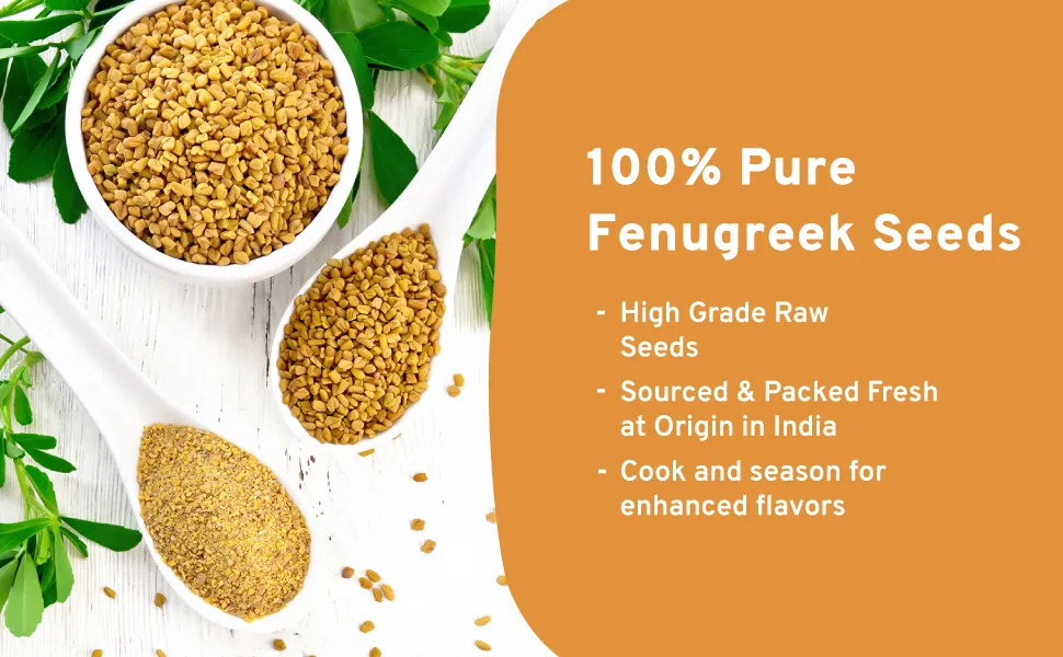 SPICE TRAIN Fenugreek Seeds (200g/7oz) Non-GMO Whole Fenugreek Seed/Methi Seeds for Cooking | Resealable Ziplock Pouch - spice