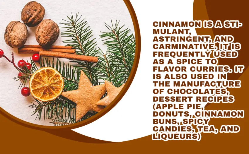 ZYBUX - CINNAMON STICKS - PREMIUM QUALITY - QUILLS - 100g - Cinnamon Stick