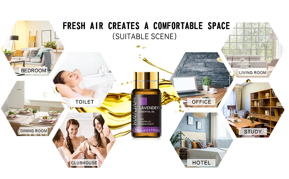 MAYJAM 20 Pcs Pure Essential Oil Gift Set Essential Oils for Diffusers for Home Aromatherapy Oils for Diffuser Humidifiers Gift for Friend (5ML) Eucalyptus - product information 3