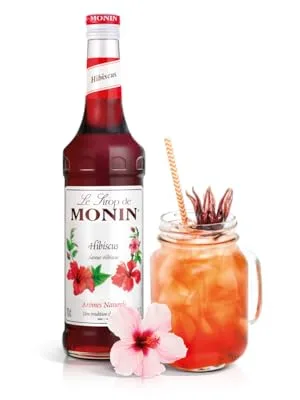 Monin Lychee Puree - monin syrup