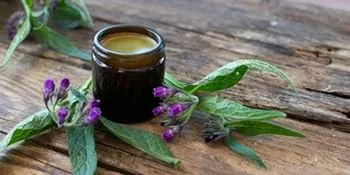 Comfrey Ointment 60ml SLS and Paraben Free Vegetarian Symphytum officinale - comfrey ointment