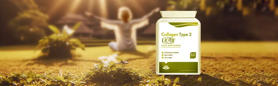 UC-II Collagen Type 2-40mg - 60 Capsules | Joint Support | Manufactured in The UK - Collagen Type 2, UC-II