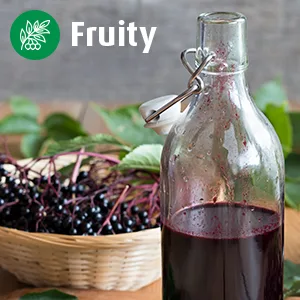 A.Vogel Echinaforce Hot Drink | Cold & Flu Echinacea Concentrate for Oral Solution with Elderberry | For the Relief of Cold & Flu Symptoms | 100ml - Contains Elderberry juice for a fruity taste