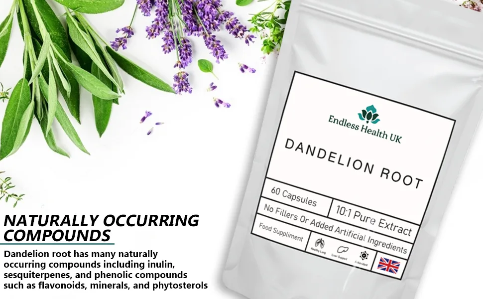 Dandelion Root Capsules | 10:1 Extract | High Strength | 60 Capsules - Dan 1