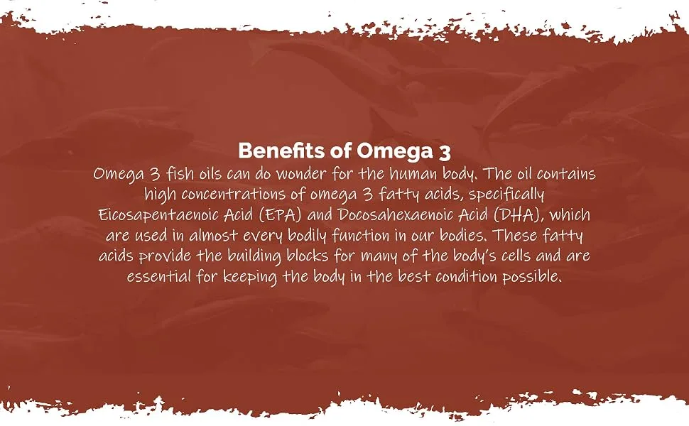Omega 3 Fish Oil 2000mg | 120 Capsules | 660mg EPA & 440mg DHA Per Serving - E4463