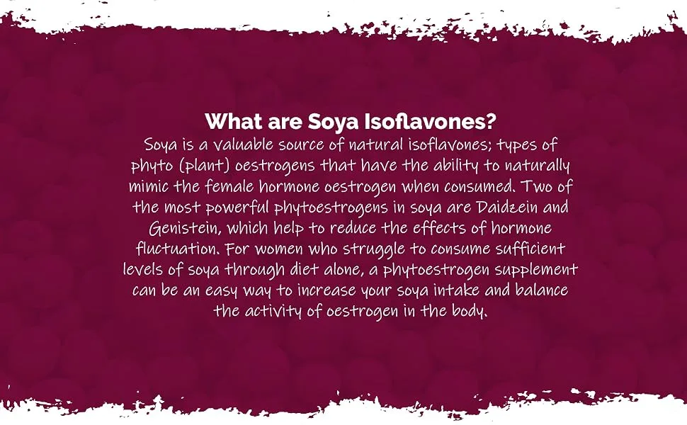 SOYA Isoflavones | 120 Tablets | Added Vitamin B6 for Hormonal Balance | One-a-Day - E6913