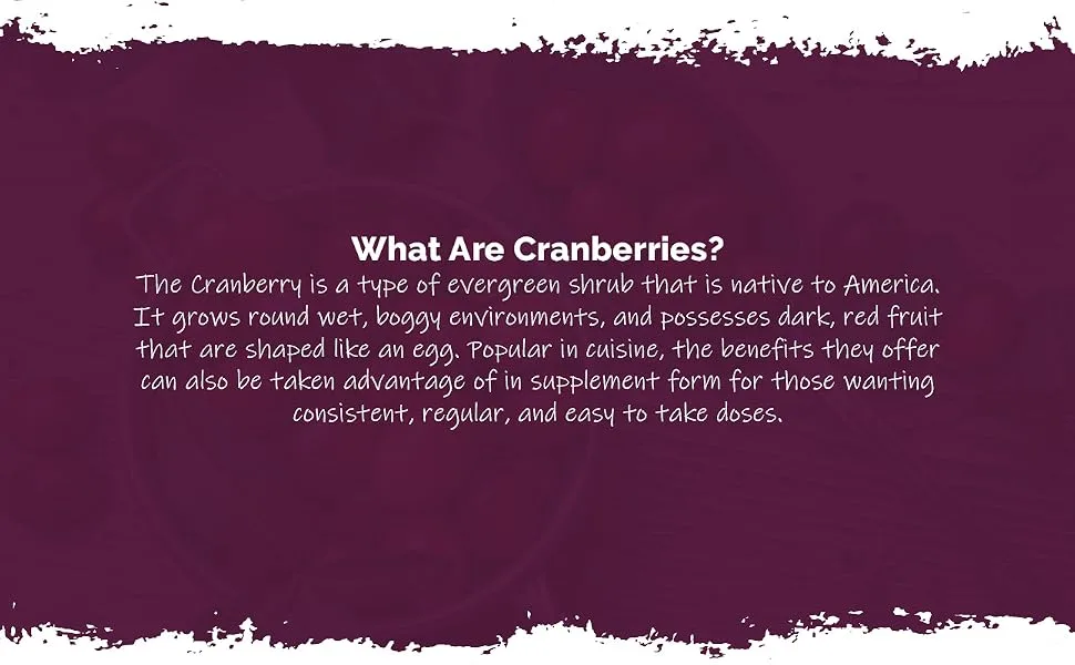 Cranberry 24000mg Tablets | Supplement to Support Immune System Health | 120 High Strength Tablets - E6633