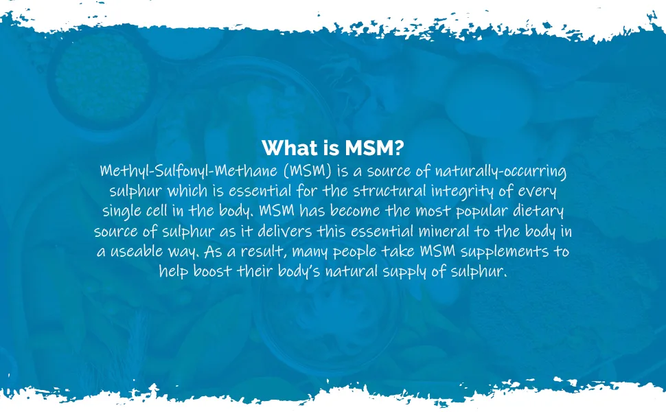 MSM Tablets 1000mg | Super High Strength Formula | 360 Tablets 6 Month Supply | Wheat-Free Fish-Free | Suitable for Vegetarians - S6263