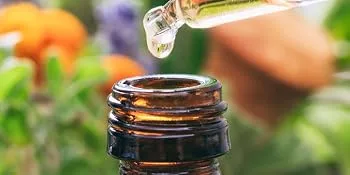 MAYJAM Basil Essential Oil 10ML Basil Oil for Diffuser Humidifier DIY Home Wardrobes Basil 10.00 ml (Pack of 1) - essential oil
