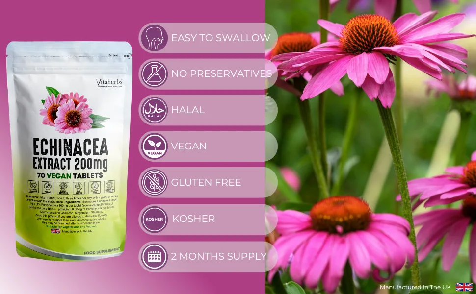 Vitaherbs Echinacea Tablets 200mg - 70 Vegan Tablets | Echinacea Purpurea - Premium Quality - Made in The UK 70 count (Pack of 1) - echinacea-extract-200mg-70-tablets-vitaherbs