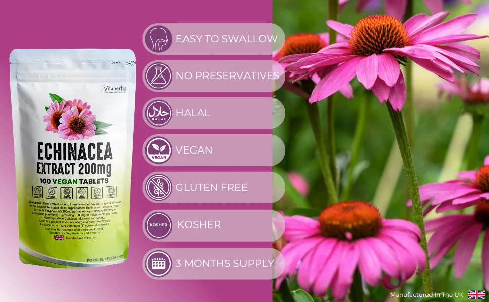 Vitaherbs Echinacea Tablets 200mg | Vegan Tablets | Echinacea Purpurea - Premium Quality - Made in The UK (100 Tablets) 100 count (Pack of 1) - echinacea-purpurea-extract-200mg-100-tablets-vitaherbs-gluten-free