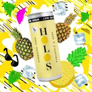 HOLOS Kombucha Soda - Pineapple & Mint - 250ml x 12 cans - No Sugar Live Cultures Vegan Gluten Free - kombucha drinks pineapple mint soda holos lo bros nexba no 1 momo remedy