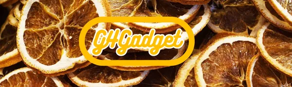 G4GADGET 15 ORANGE SLICES Dried Fruit - CHRISTMAS CRAFT WREATH FLORIST DECORATION UK - Natural decorations Rustic home decor Christmas ornaments Potpourri ingredients Aromatherapy