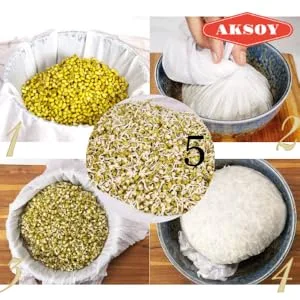 AKSOY Mung Beans - Rich in Protein & Fiber 5KG 5.0 Kilograms - mung beans method 2