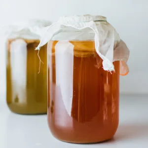 Freshly Fermented Vegan & Organic Kombucha SCOBY (2 Litre Kombucha) - Kombucha starter scoby