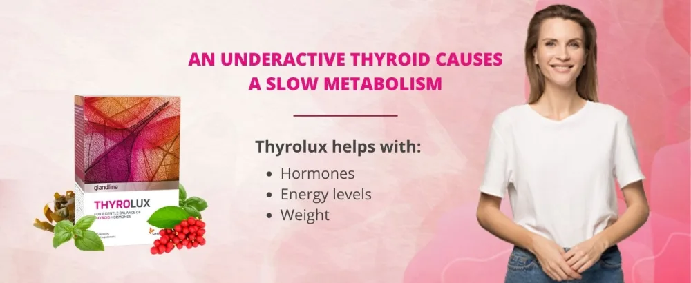 Sensilab Thyrolux - Thyroid - Iodine Tablets - L-Tyrosine Iodine Selenium Magnesium Schisandra Zinc - Nutrients and Minerals - 120 Capsules - Sensilab - Sensilab Thyrolux