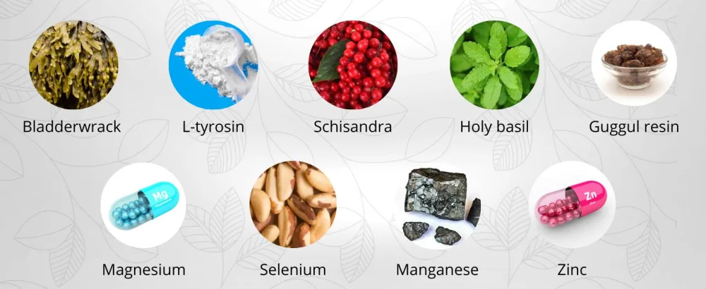 Sensilab Thyrolux - Thyroid - Iodine Tablets - L-Tyrosine Iodine Selenium Magnesium Schisandra Zinc - Nutrients and Minerals - 120 Capsules - Sensilab - Thyrolux Ingredients