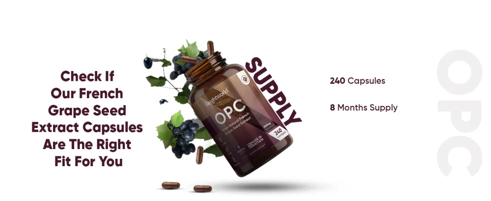 Grape Seed Extract Capsules - 240 Vegan Capsules (8 Months Supply) - 500mg Grapefruit Seed Extract per Capsule - 95% OPC (Oligomeric Proanthocyanidins) - Polyphenols Supplement for Men & Women. - OPC French Grape Seed Extract Capsules